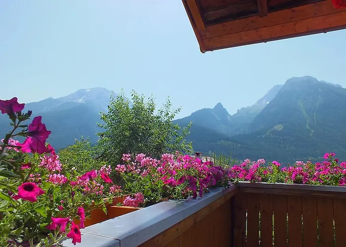 Gaestehaus Amort